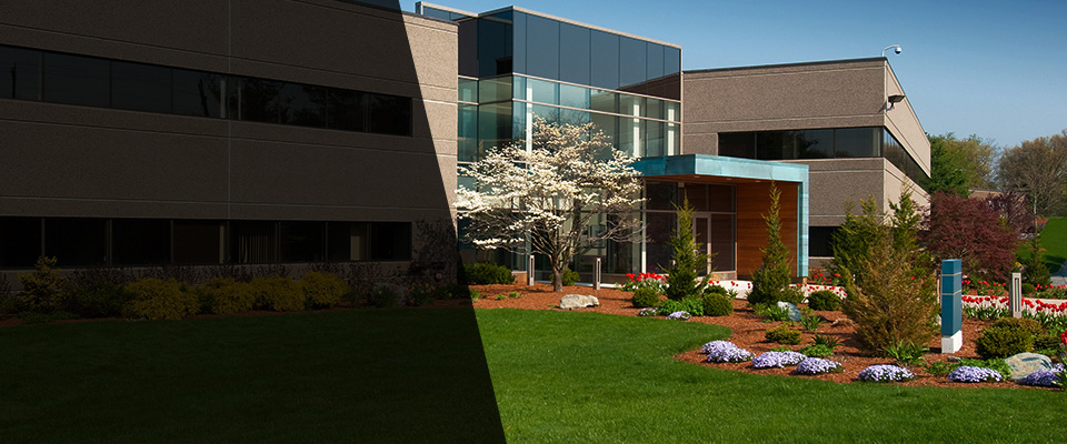 Saint Pauls Landscapers