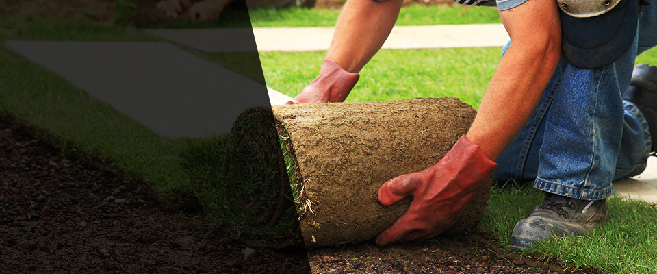 Saint Pauls Landscapers